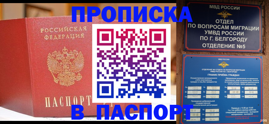 временная регистрация в квартире в Шатуре